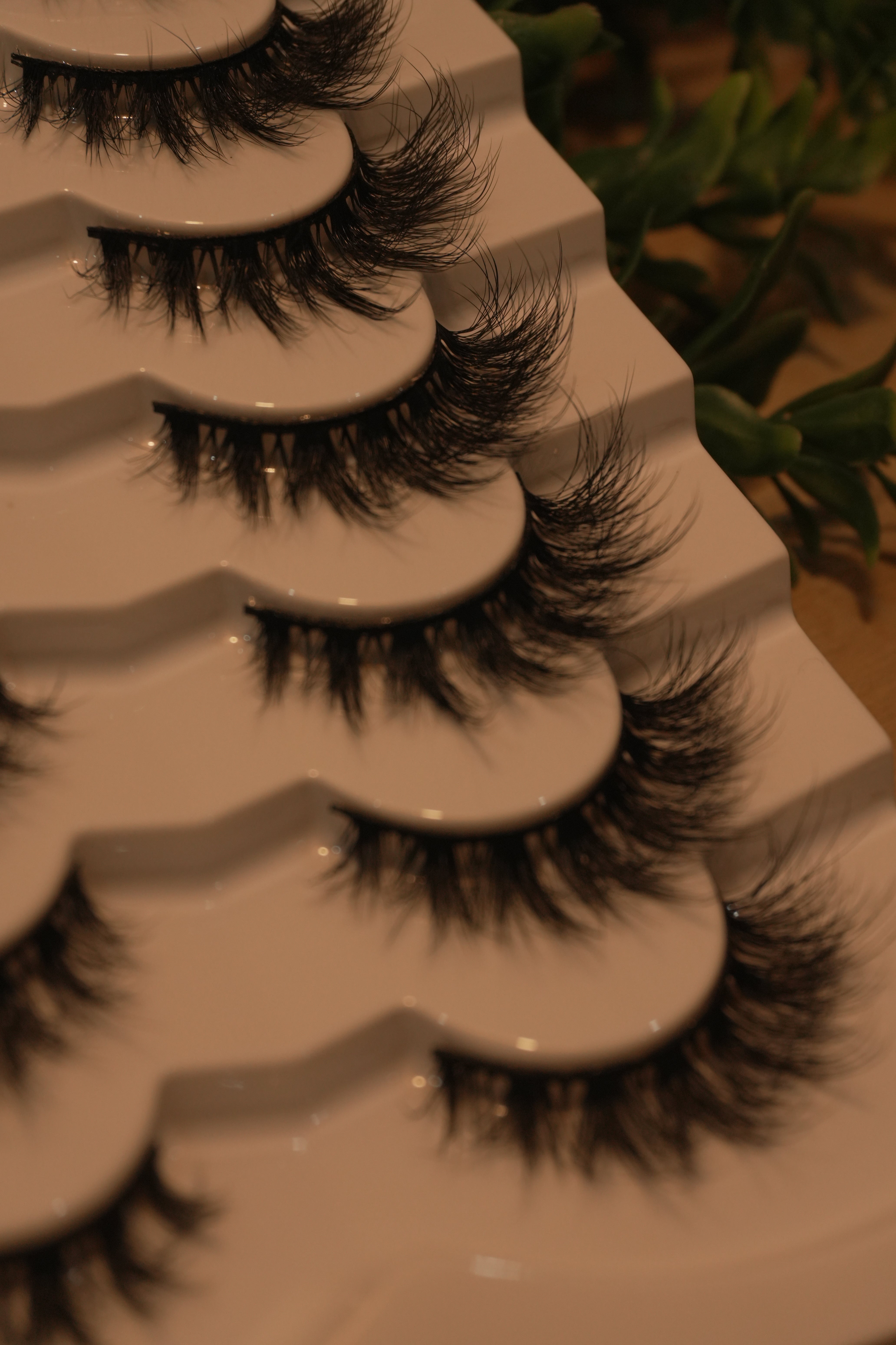 Eye Candy ||7 Pairs Per Tray