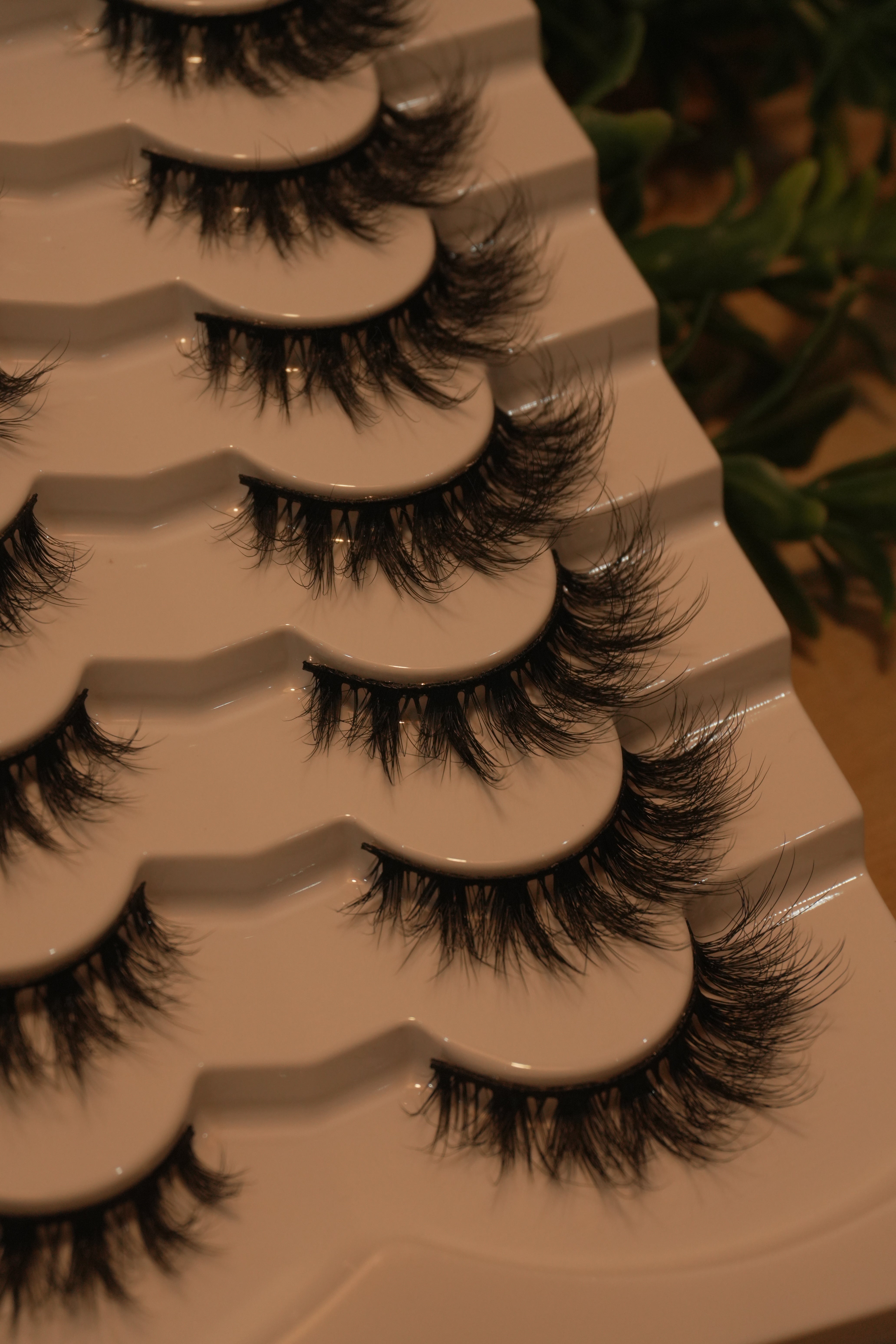 Eye Candy ||7 Pairs Per Tray