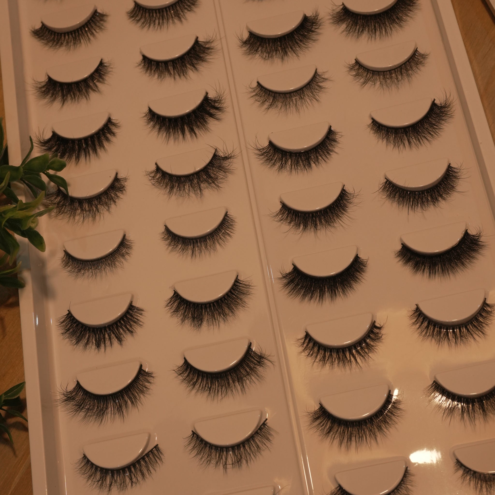 Iris Wonder Mix || 20 Different Styles Per Tray