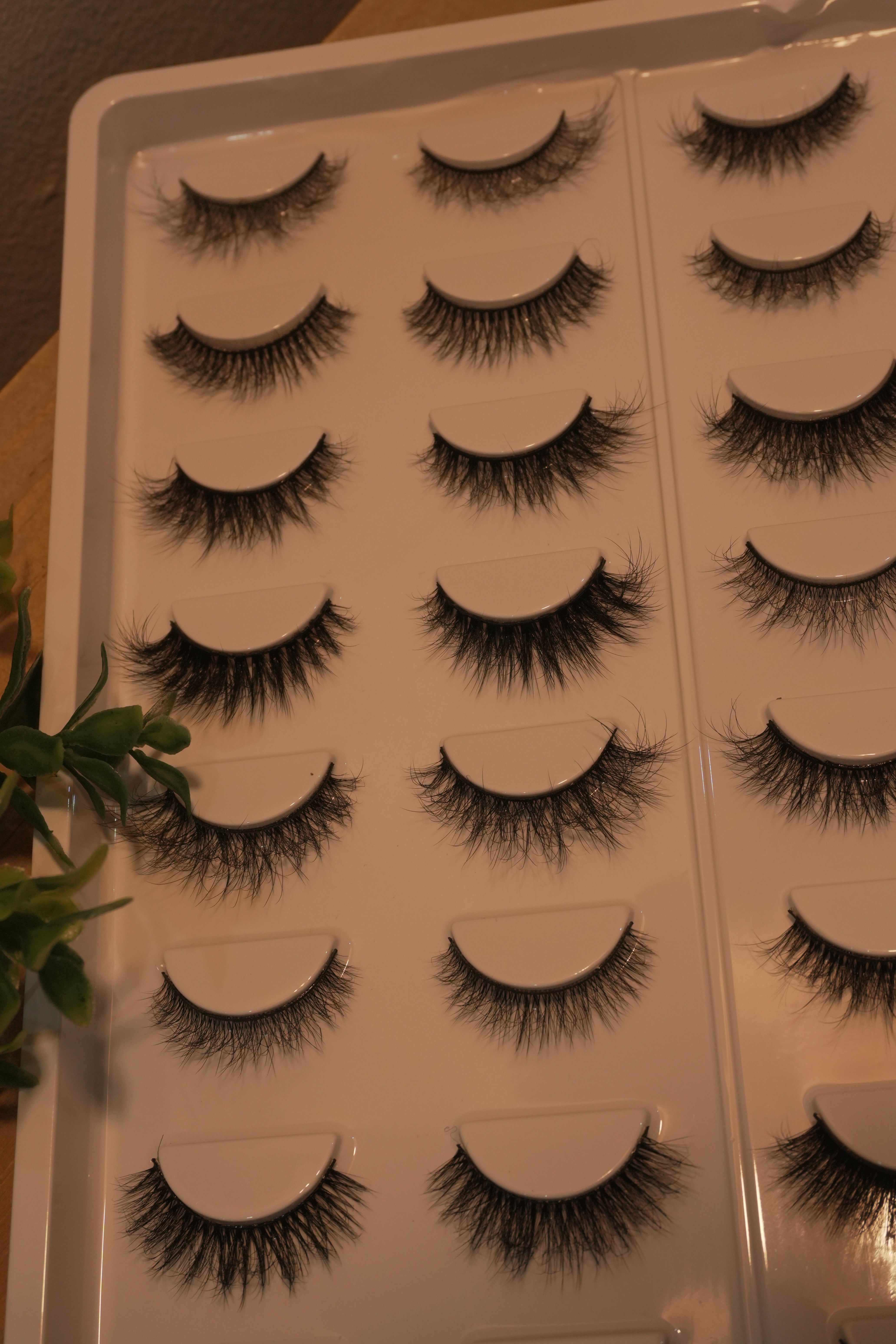 Iris Wonder Mix || 20 Different Styles Per Tray