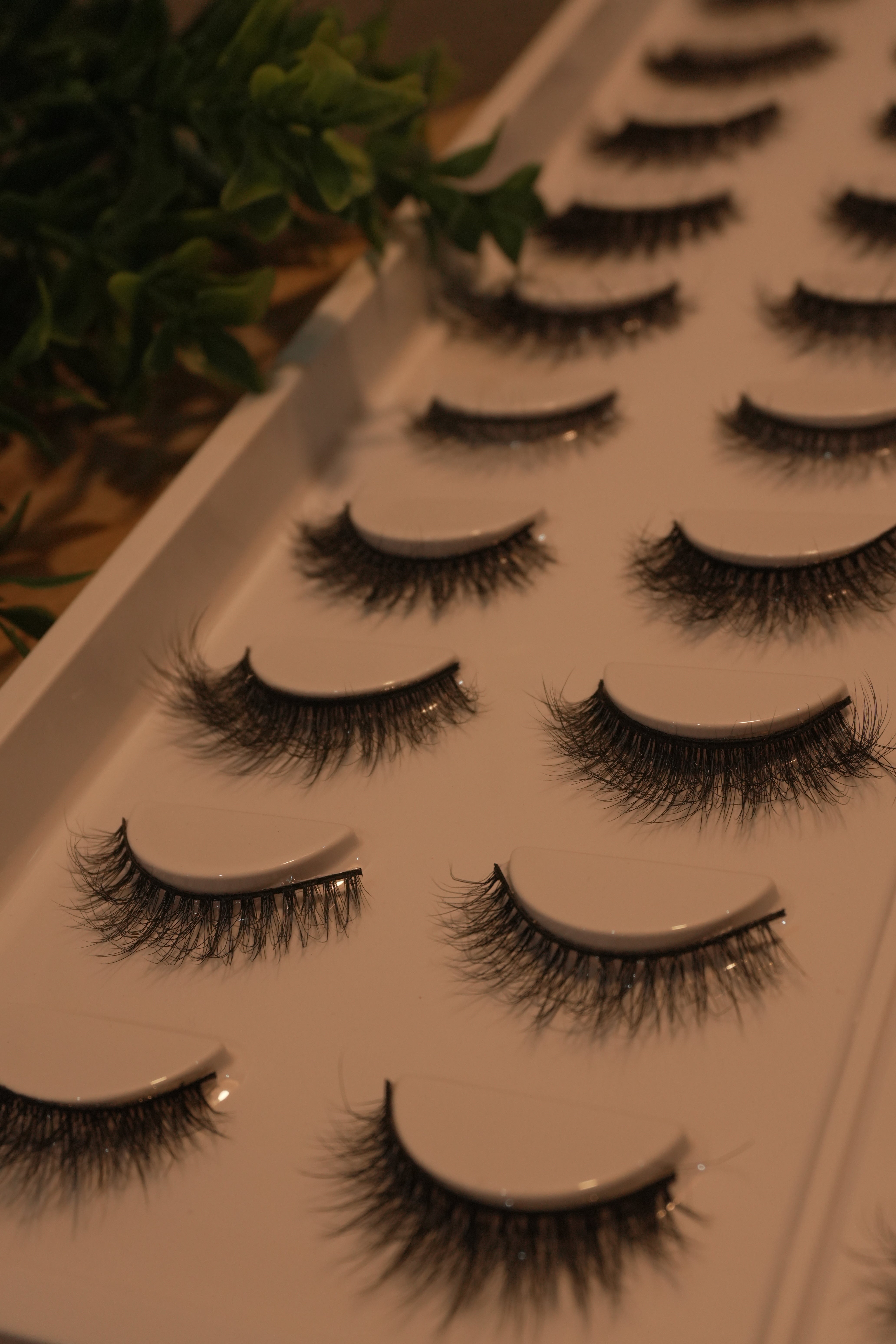 Iris Wonder Mix || 20 Different Styles Per Tray