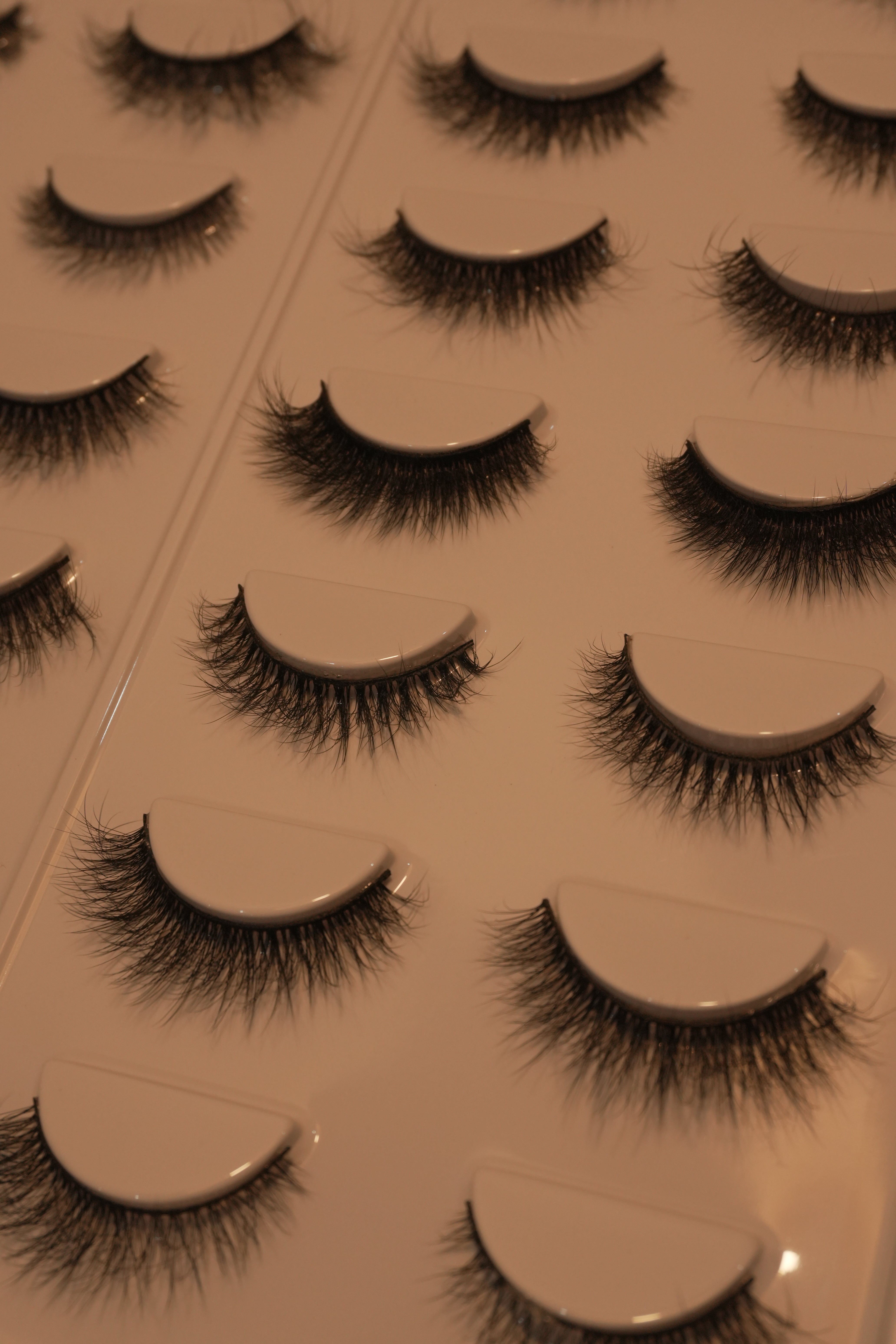 Iris Wonder Mix || 20 Different Styles Per Tray