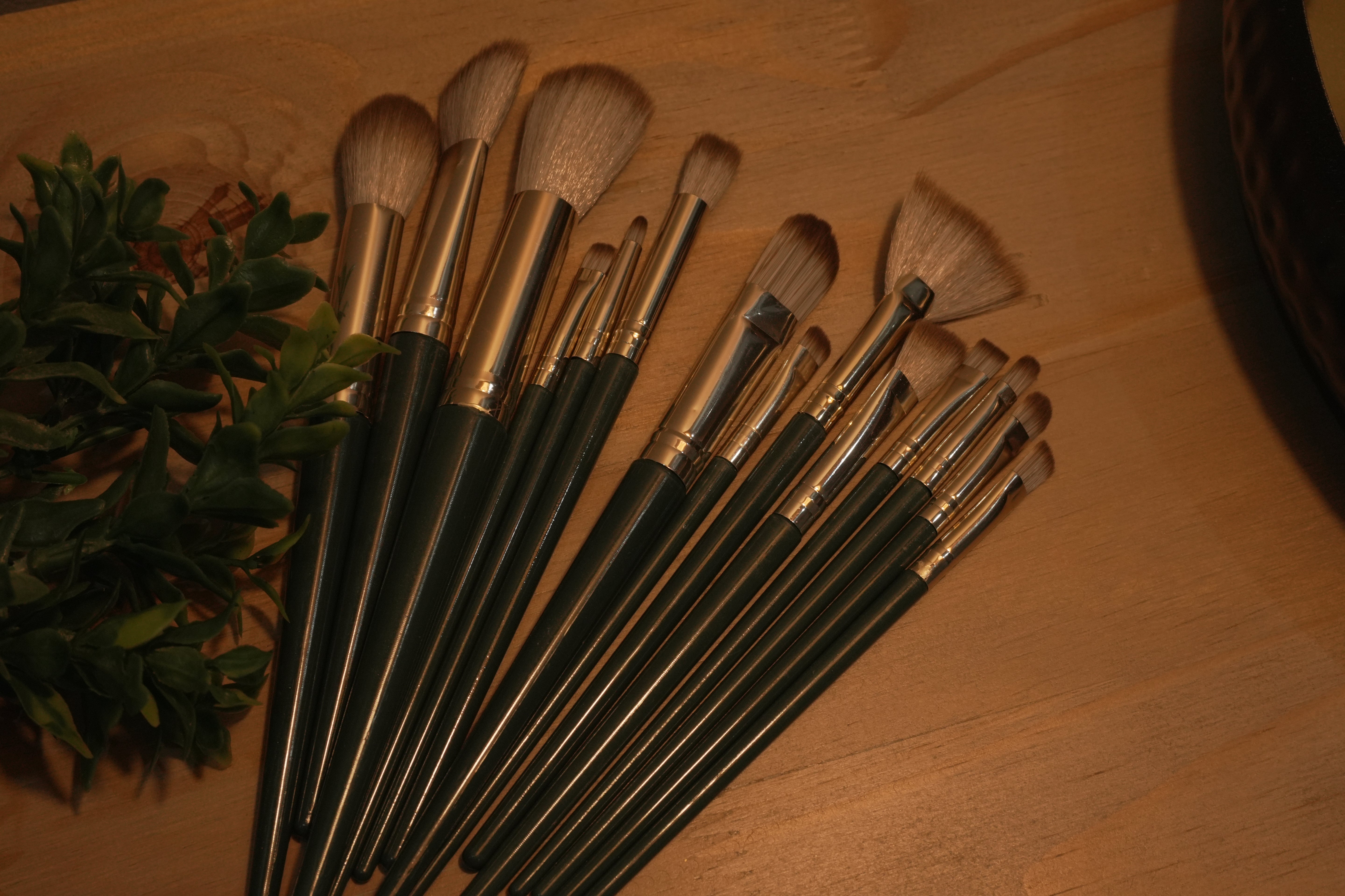 Buff & Blur ||14 piece brush set