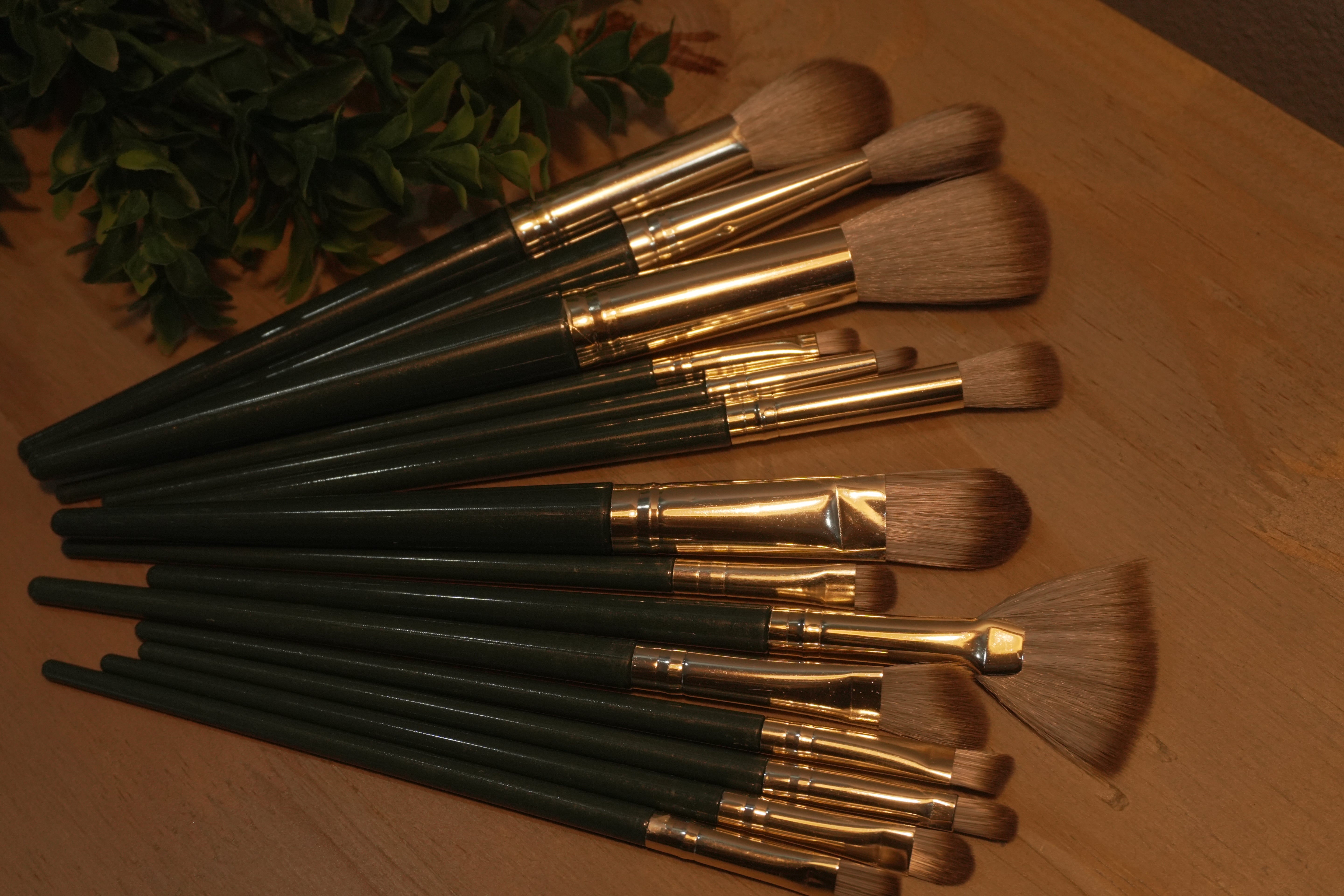 Buff & Blur ||14 piece brush set