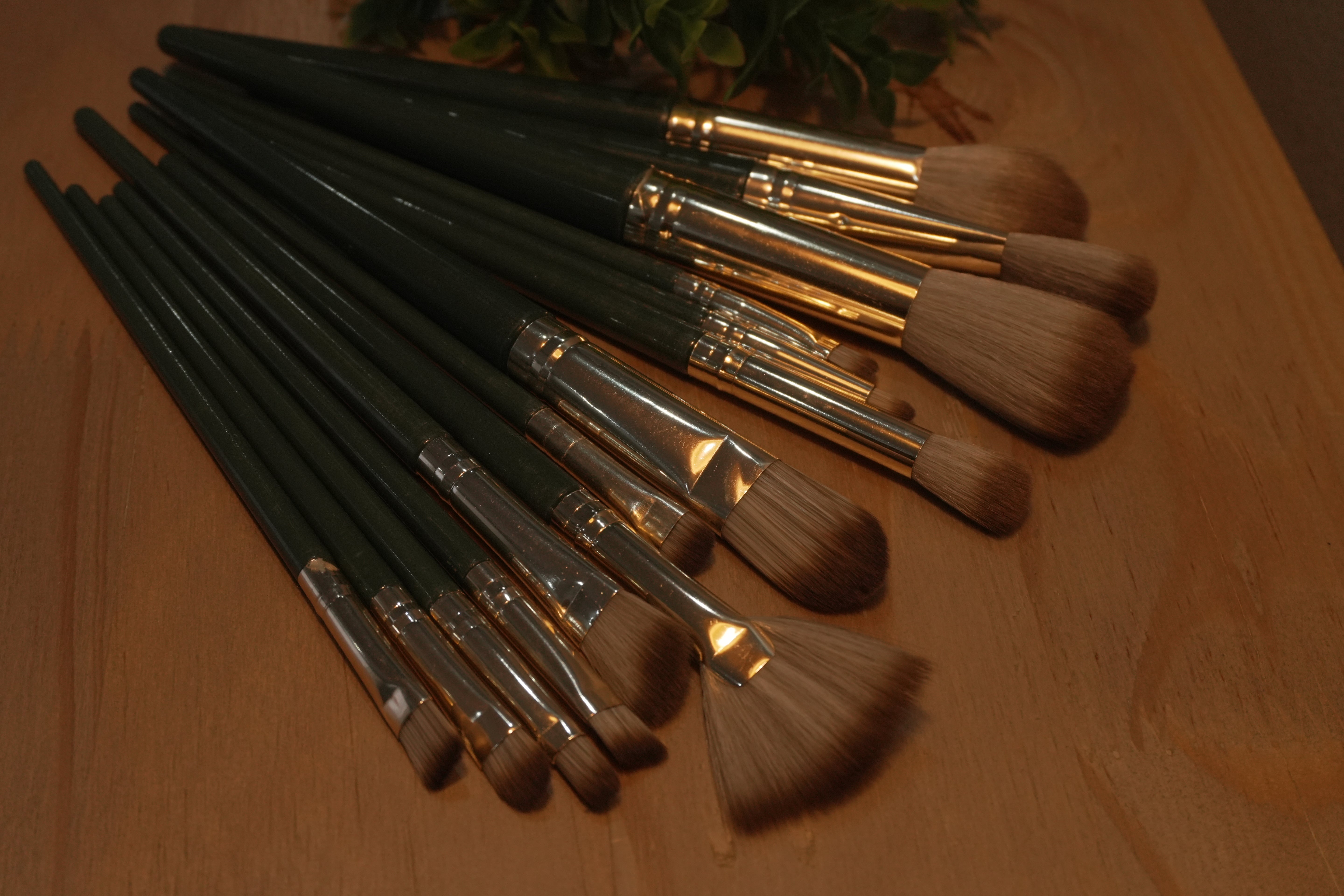 Buff & Blur ||14 piece brush set