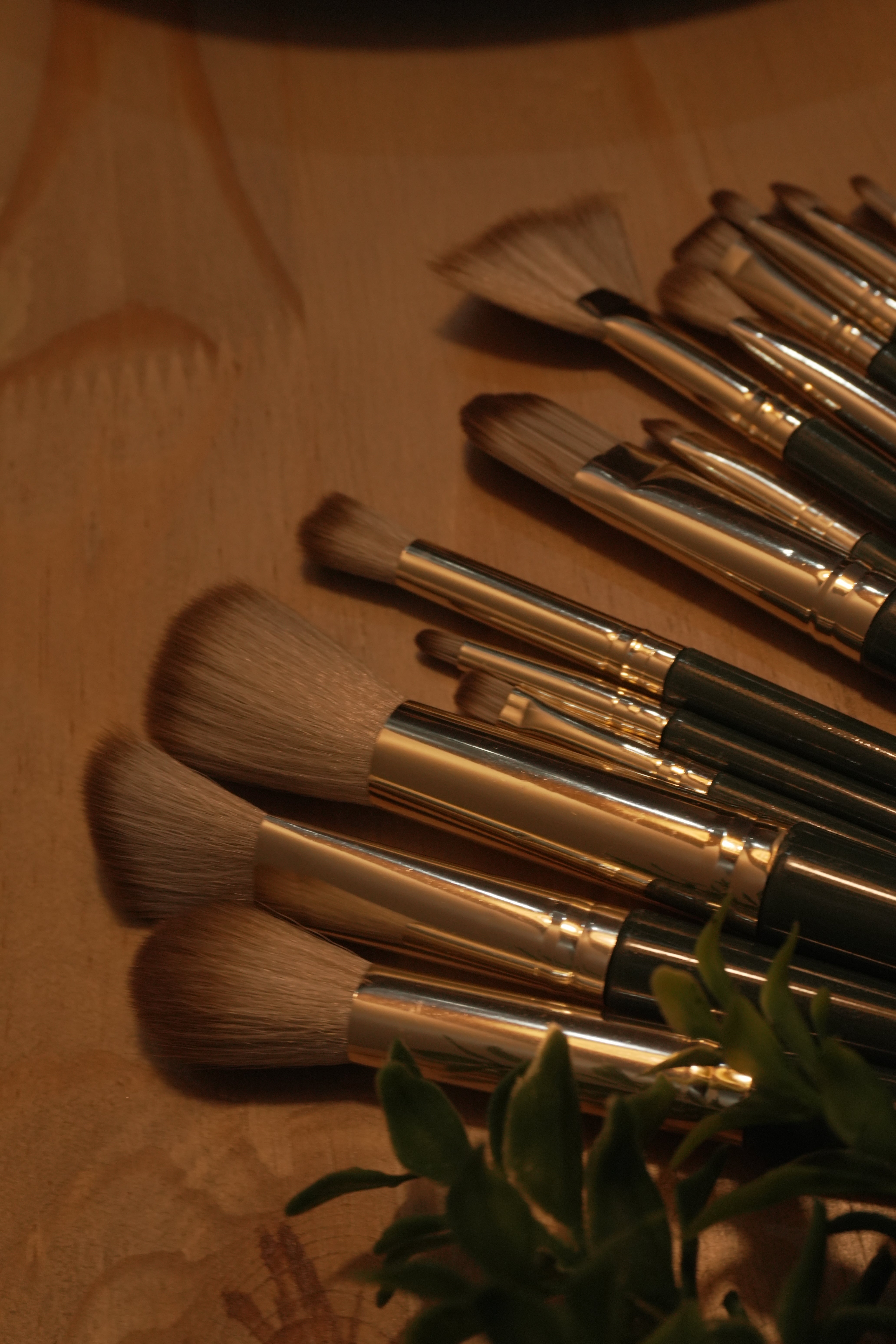 Buff & Blur ||14 piece brush set
