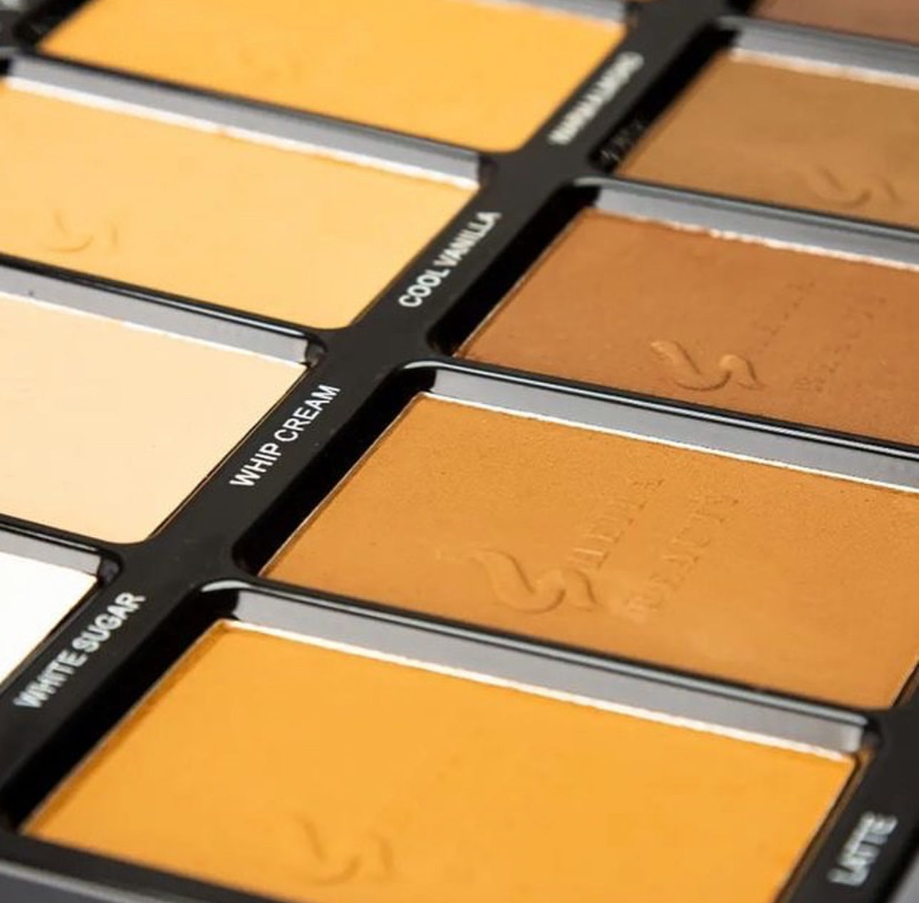 SHEILA BEAUTY POWDER PALETTE