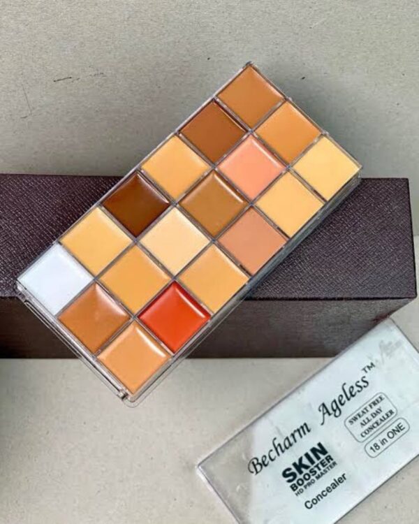 Becharm Ageless Always HD Pro Master Concealer Palette - Image 2