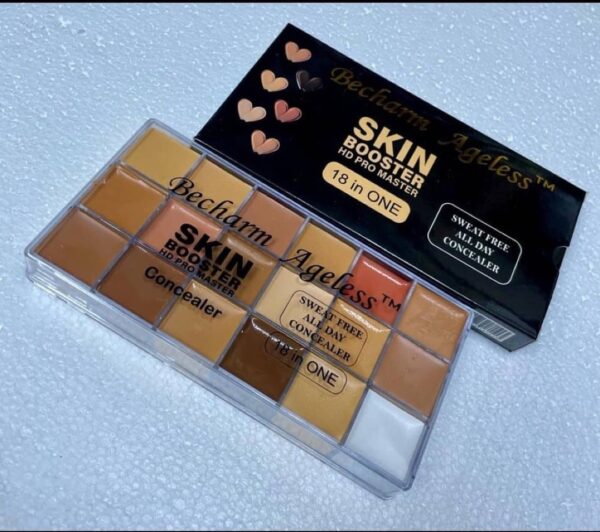 Becharm Ageless Always HD Pro Master Concealer Palette - Image 3