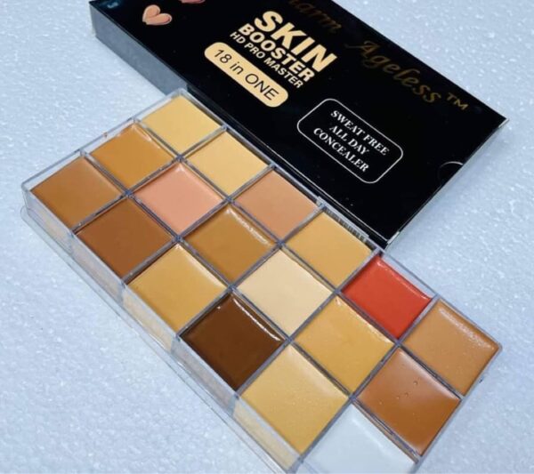 Becharm Ageless Always HD Pro Master Concealer Palette